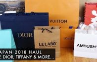 Japan 2018 Luxury Haul ft. Louis Vuitton, Dior (KAWS SS19), Tiffany, Ambush, CDG & More