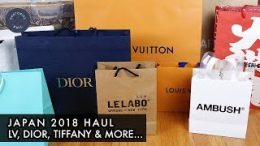 Japan-2018-Luxury-Haul-ft.-Louis-Vuitton-Dior-KAWS-SS19-Tiffany-Ambush-CDG-More